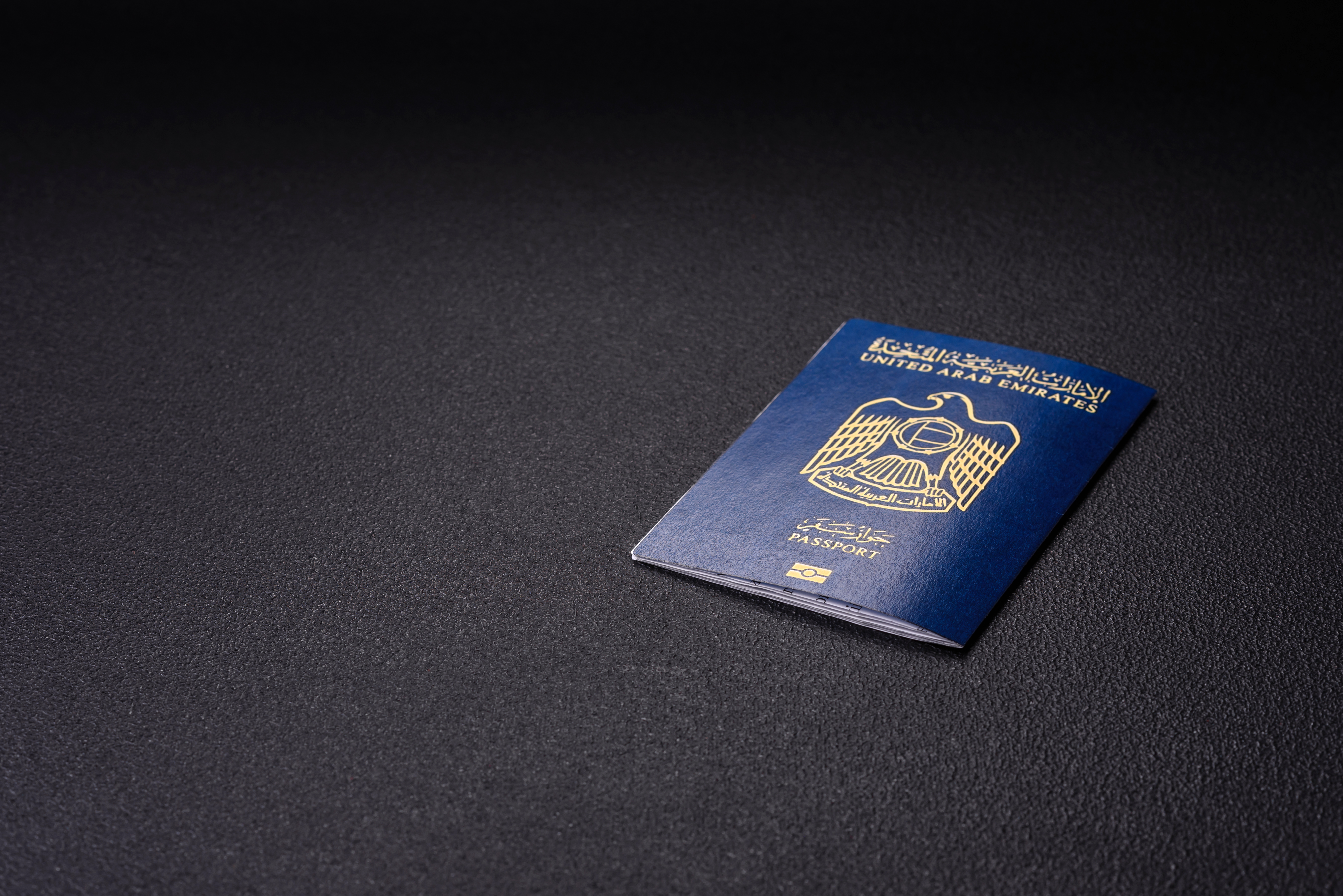 Biometric Passport